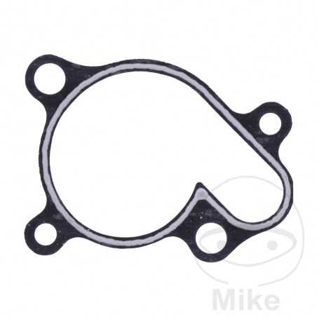 Water pump cover gasket OEM 734.74.49