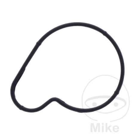 Water pump cover gasket OEM 734.74.64
