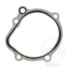 Water pump cover gasket OEM 734.74.65