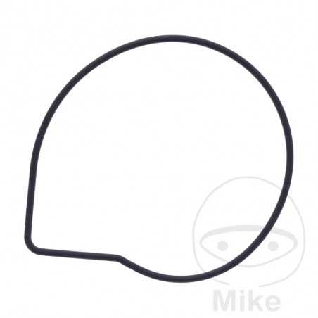 Water pump cover gasket OEM 734.74.82