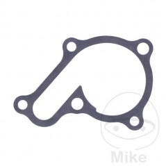 Water pump cover gasket OEM 734.74.89