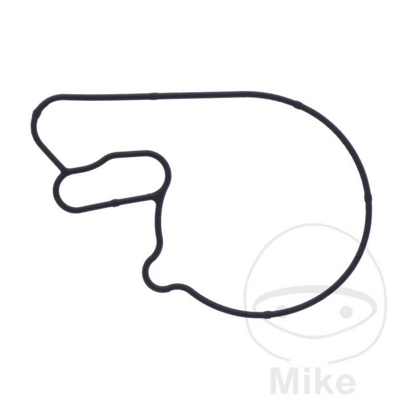 Water pump cover gasket OEM 734.75.07