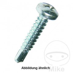 DRESSELHAUS Pack 100 drilling screws without retainer 4.8 7504M 480.29.71VAR