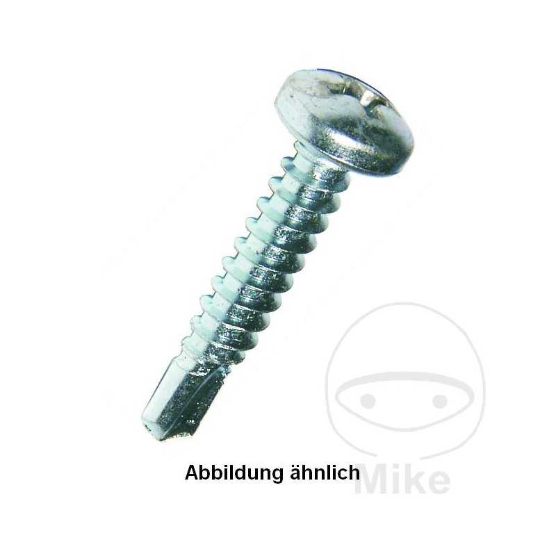 DRESSELHAUS Pack 100 tornillos de perforación sin retén 4.8 7504M 480.29.71VAR