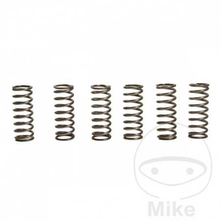 EBC Set of 6 reinforced clutch springs 745.25.84