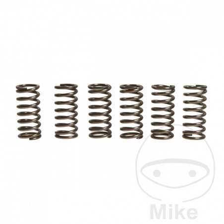 EBC Juego 6 muelles de embrague reforzados 745.95.55