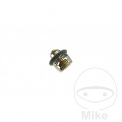 Engine cooling thermostat OEM 781.00.70