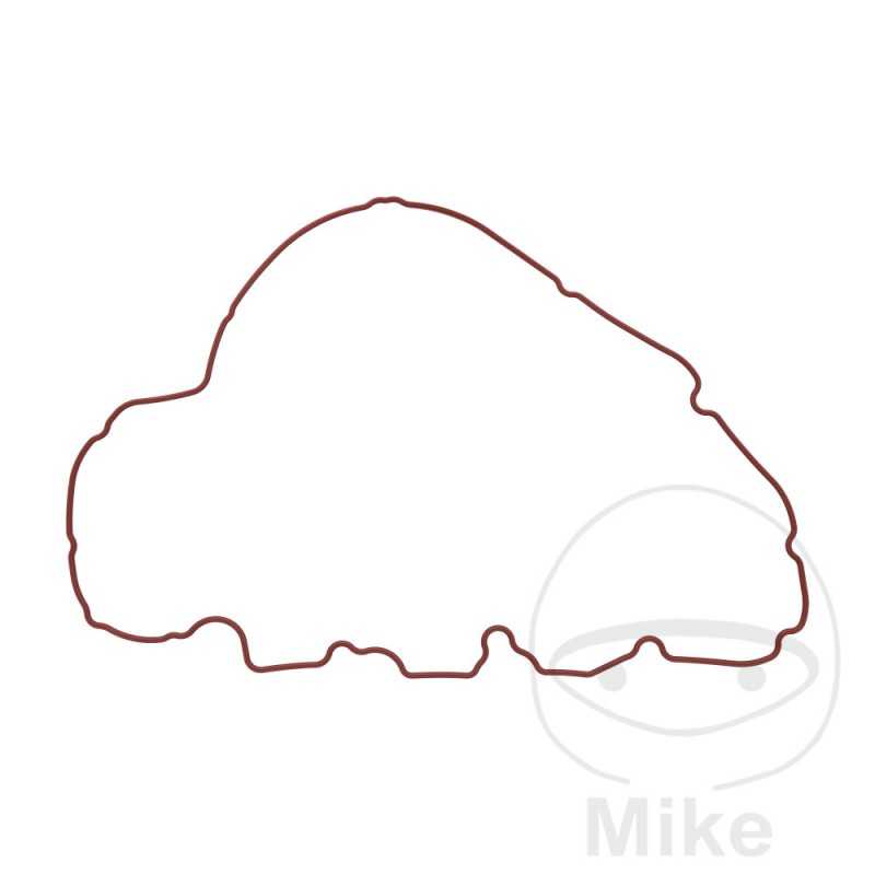 Alternator cover gasket OEM 734.79.18