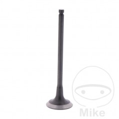 Scape valve OEM 747.13.76