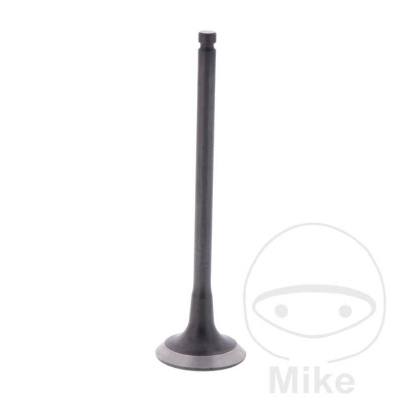 Scape valve OEM 747.13.76