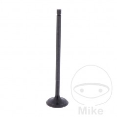 Admission valve OEM 747.13.88