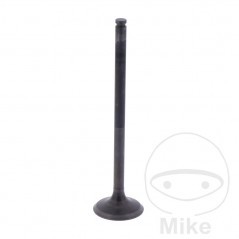 Scape valve OEM 747.13.92