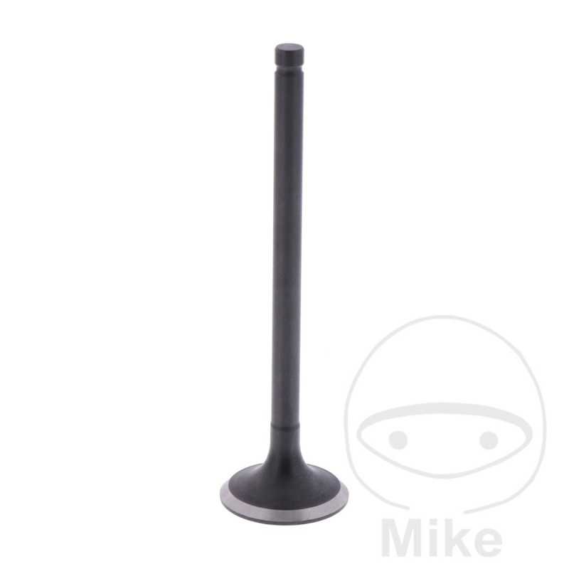 Scape valve OEM 747.13.94