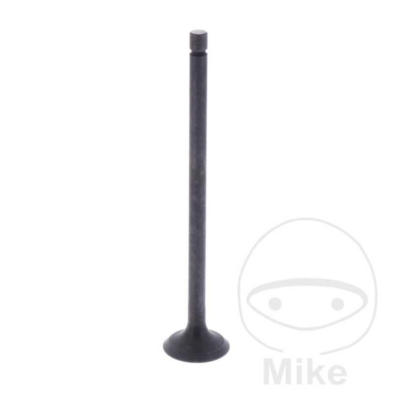 Scape valve OEM 747.14.09