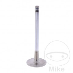 Scape valve OEM 747.14.22