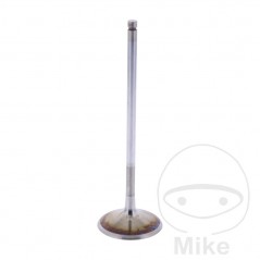 Admission valve OEM 747.14.28