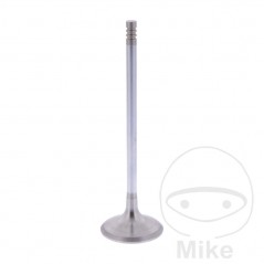 Scape valve OEM 747.14.30