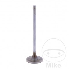 Admission valve OEM 747.14.38