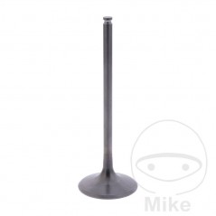 Admission valve OEM 747.14.46