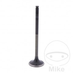 Scape valve OEM 747.14.51