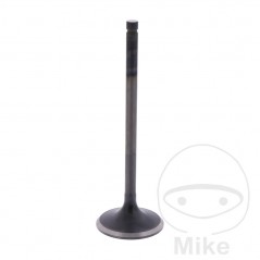 Scape valve OEM 747.14.58