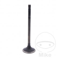 Scape valve OEM 747.14.64