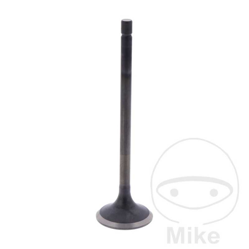 Scape valve OEM 747.14.64