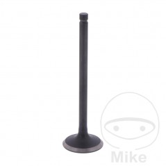 Scape valve OEM 747.14.66