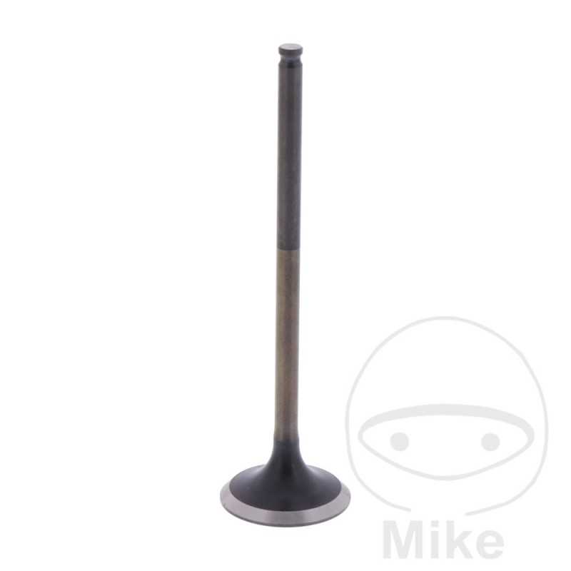 Scape valve OEM 747.14.67