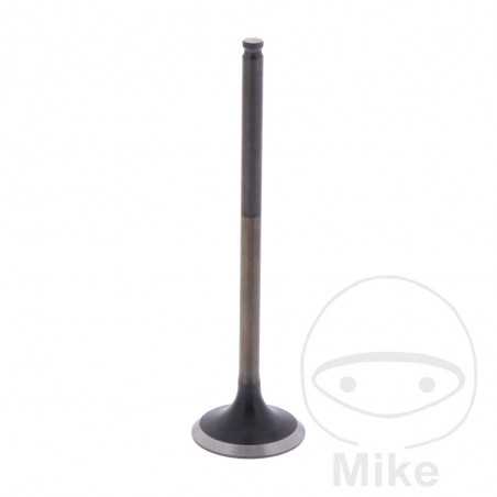 Scape valve OEM 747.14.67