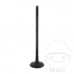 Scape valve OEM 747.15.40