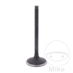 Scape valve OEM 747.15.46