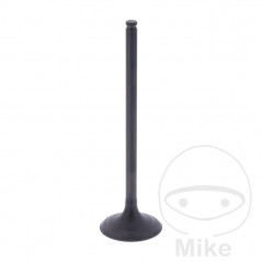 Scape valve OEM 747.15.51