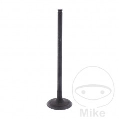 Scape valve OEM 747.15.64