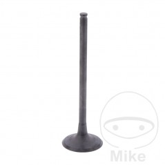 Scape valve OEM 747.15.66