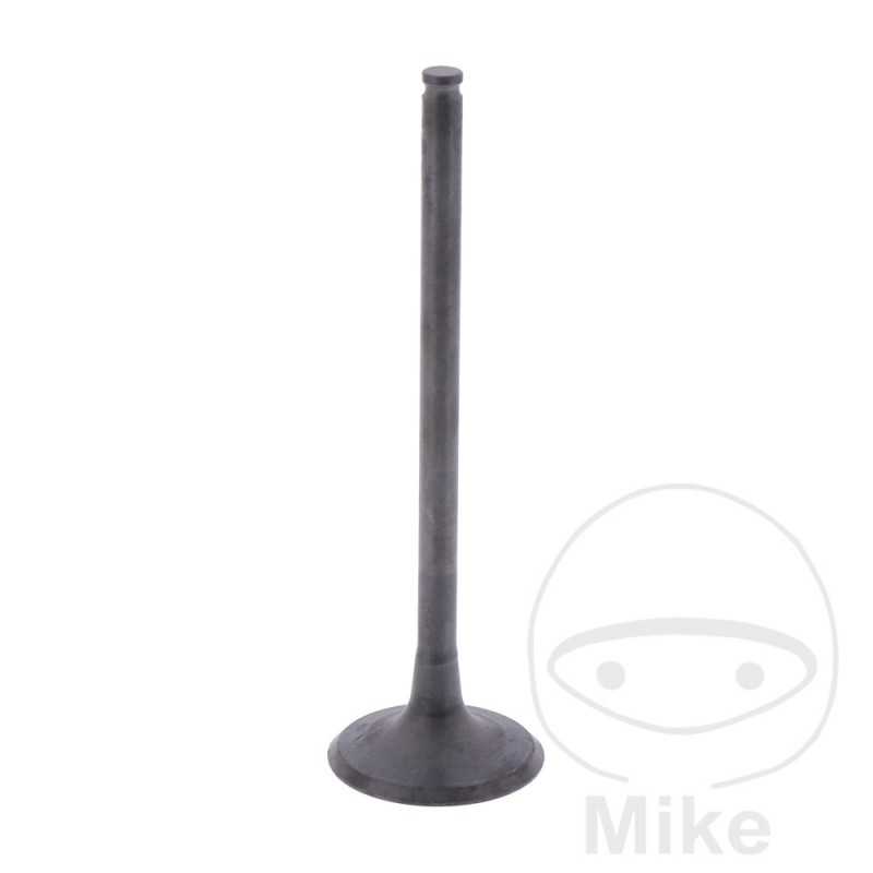 Scape valve OEM 747.15.66