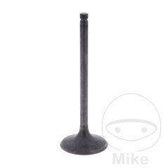 Admission valve OEM 747.15.89