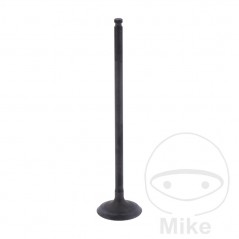 Scape valve OEM 747.16.13