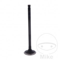 Scape valve OEM 747.16.15