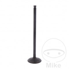 Scape valve OEM 747.16.22