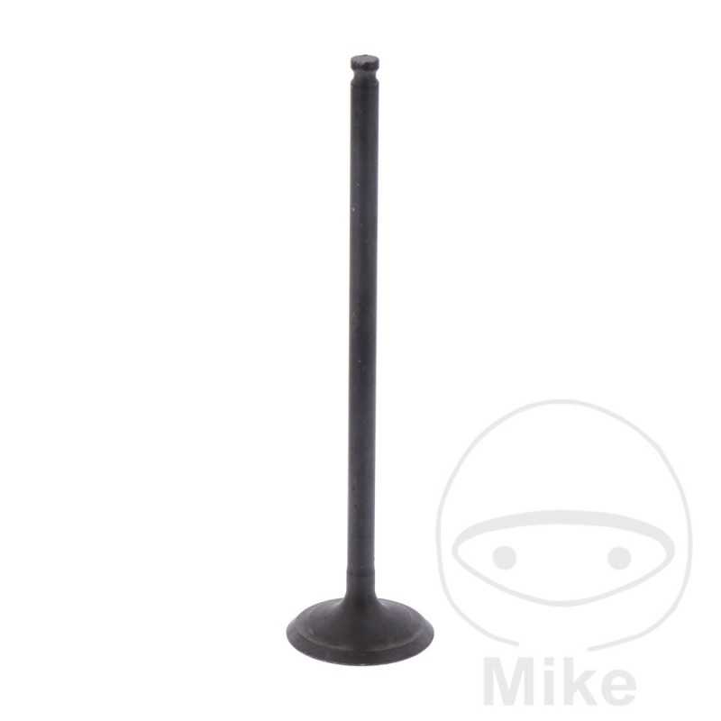 Scape valve OEM 747.16.22