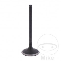 Scape valve OEM 747.16.30