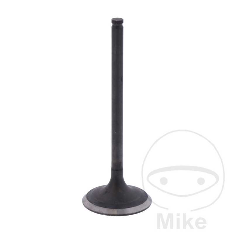 Scape valve OEM 747.16.30