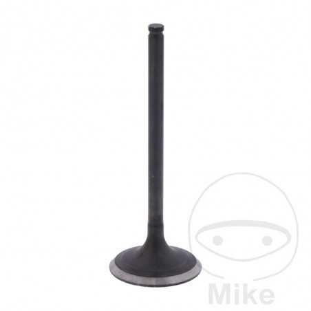 Scape valve OEM 747.16.30