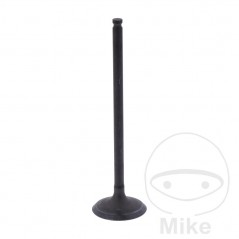 Scape valve OEM 747.16.42