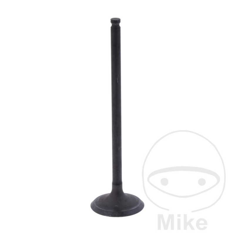 Scape valve OEM 747.16.42