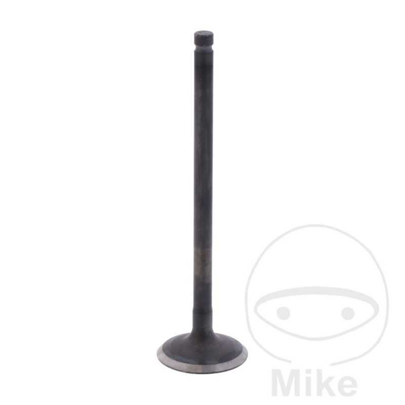 Scape valve OEM 747.16.46