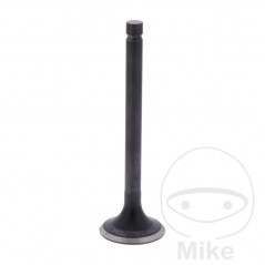 Scape valve OEM 747.16.53