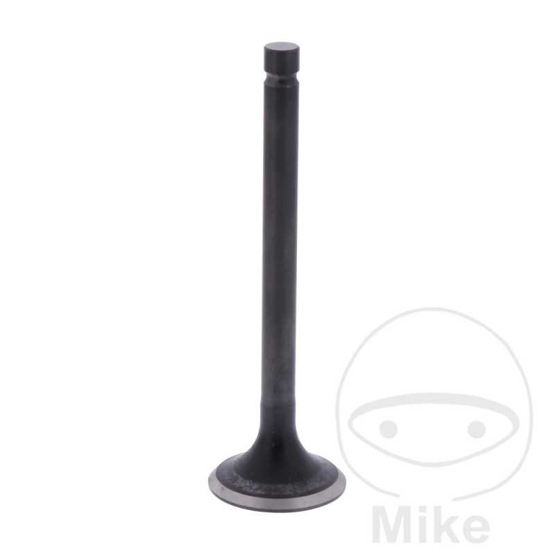 Scape valve OEM 747.16.53