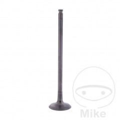 Scape valve OEM 747.16.55